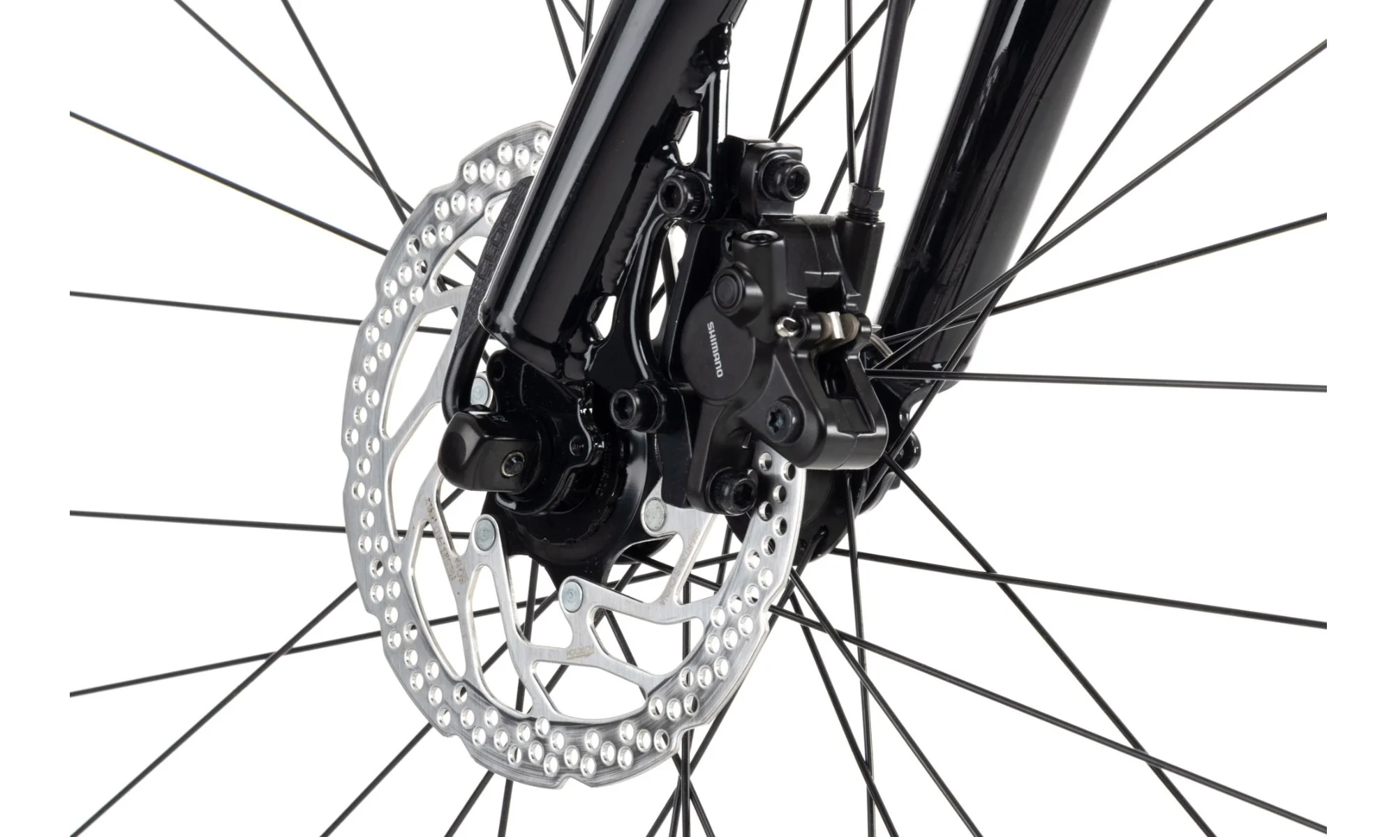 Vitus Dee VR City Bike Nexus (2021) - Image 12
