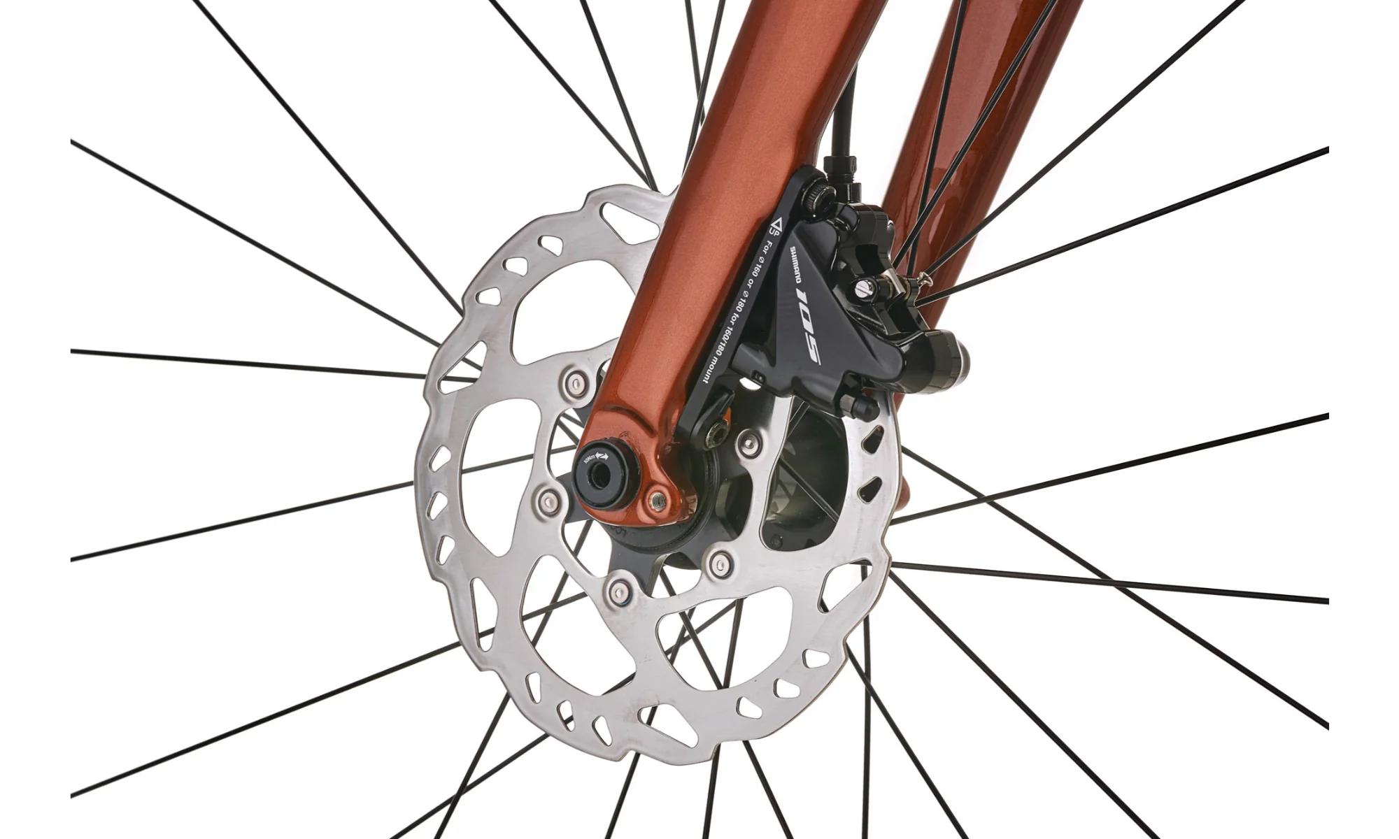 Vitus E-Substance Carbon E Road Bike Fazua - Image 11
